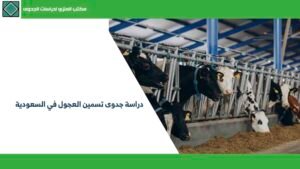 دراسة جدوى تسمين العجول في السعودية